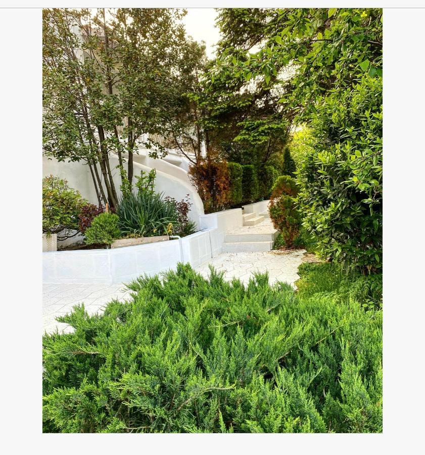 לוזנטס Friends Family Hotel מראה חיצוני תמונה